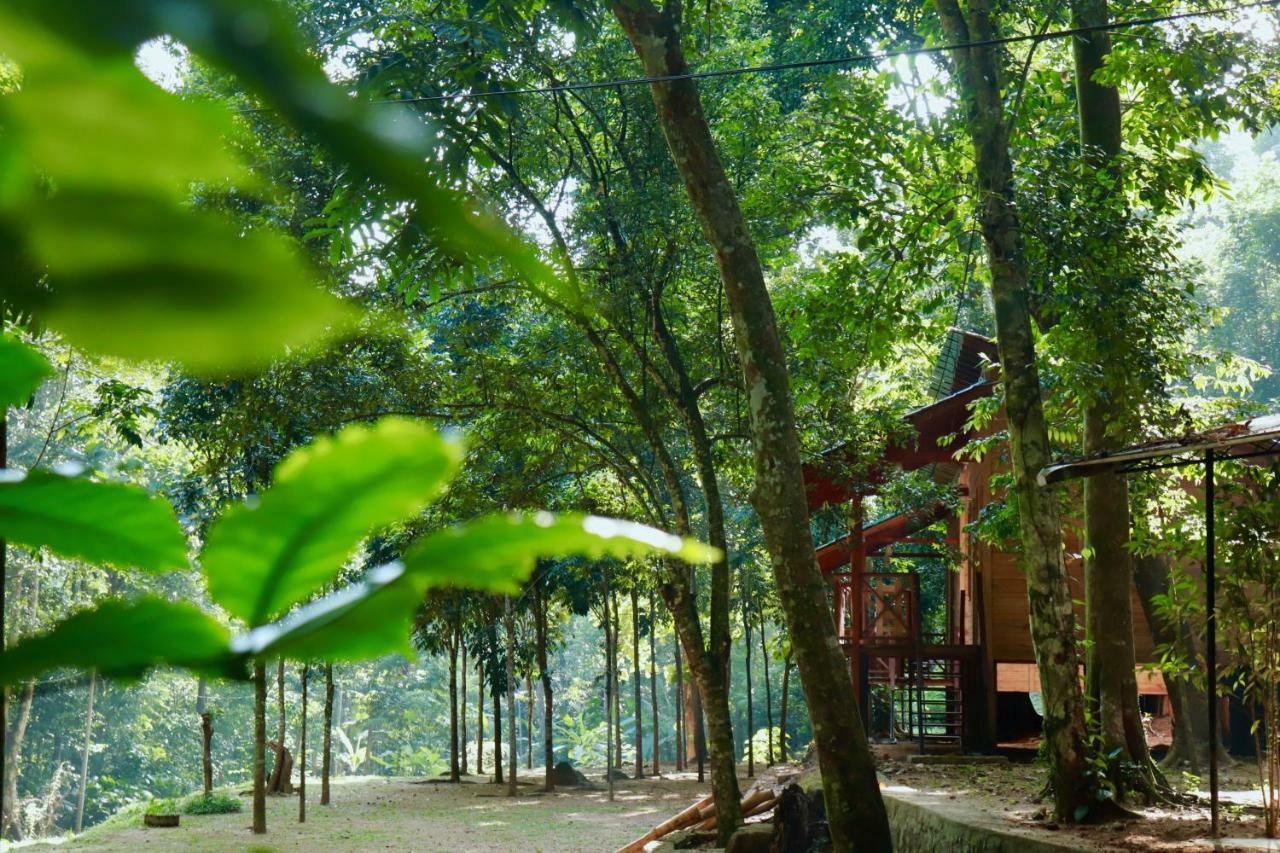 Paradise Eco Garden Kitulgala Exterior foto